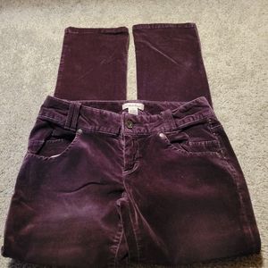 Calvin Klein Purple Velour Jeans Size 2